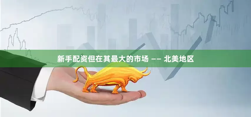 新手配资但在其最大的市场 —— 北美地区