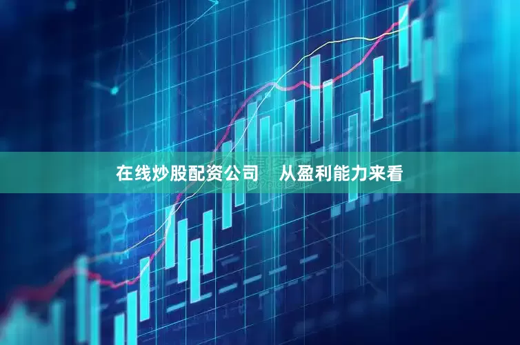 在线炒股配资公司    从盈利能力来看